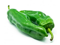 Green Italian Pepper